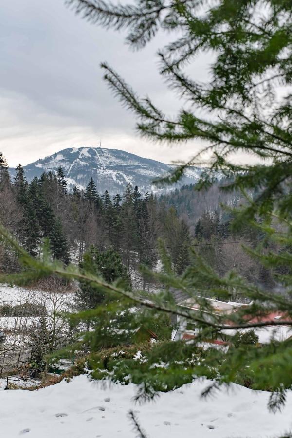 Folkowy Dom Dla 14 Osob Z Sauna I Grillowiskiem - Dream Holiday home *